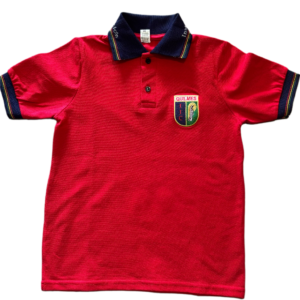 CHOMBA DE PIQUE PRIMARIA IIC