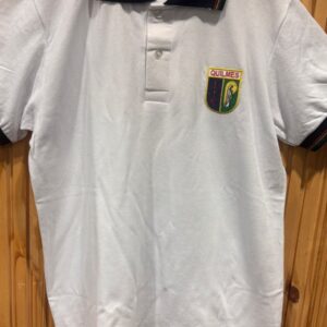 CHOMBA PIQUE IIC SECUNDARIA